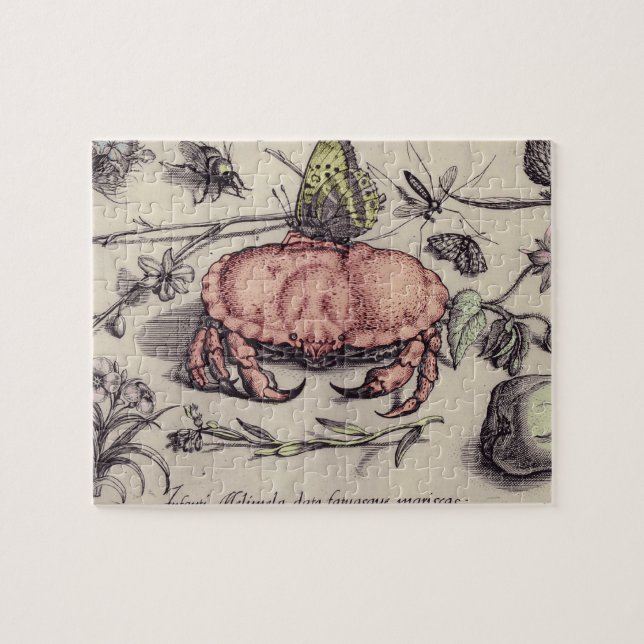 Illustration av blomning från krabbbotaniska Insek Pussel (Horisontell)