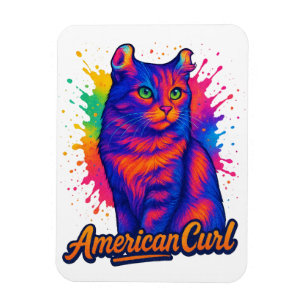 Illustration av brant amerikansk katt magnet