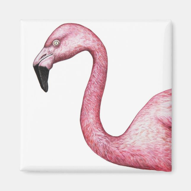 Illustration av Bright Rosa Flamingo Magnet (Framsidan)