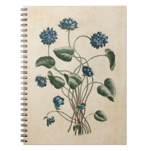 Illustration av brott mot botaniska Blommigtar i v Anteckningsbok