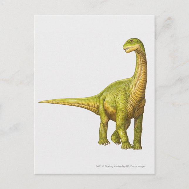 Illustration av Camarasaurus Vykort (Framsida)