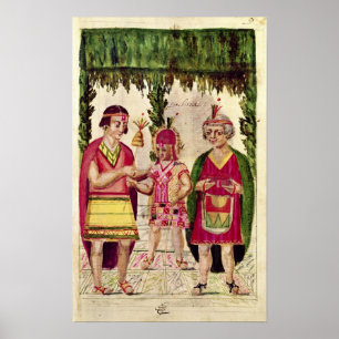 Illustration av Cincheroca Poster