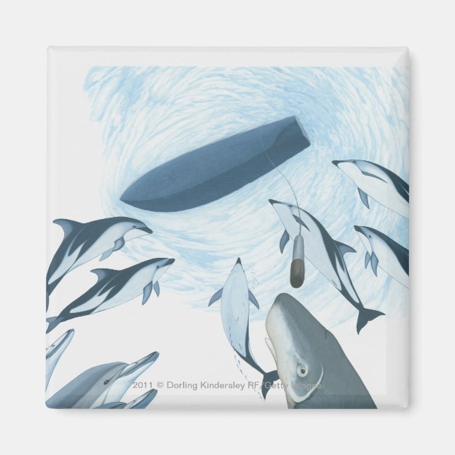 Illustration av delfiner tittar upp i en båt magnet (Framsidan)