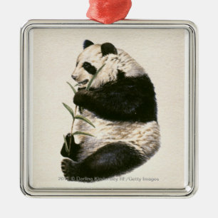 Illustration av den jätte- pandaen som matar på julgransprydnad metall