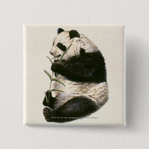 Illustration av den jätte- pandaen som matar på knapp
