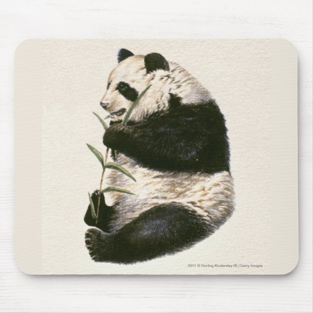 Illustration av den jätte- pandaen som matar på musmatta (Framsidan)