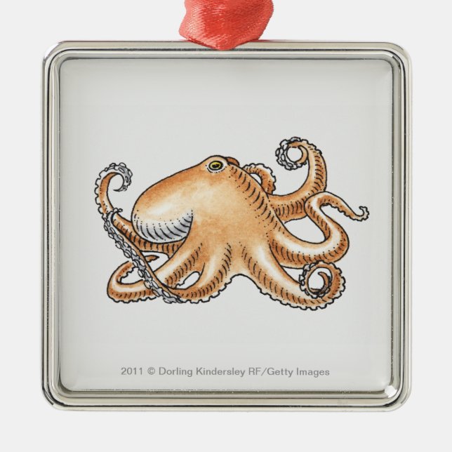 Illustration av en bläckfisk julgransprydnad metall (Framsidan)