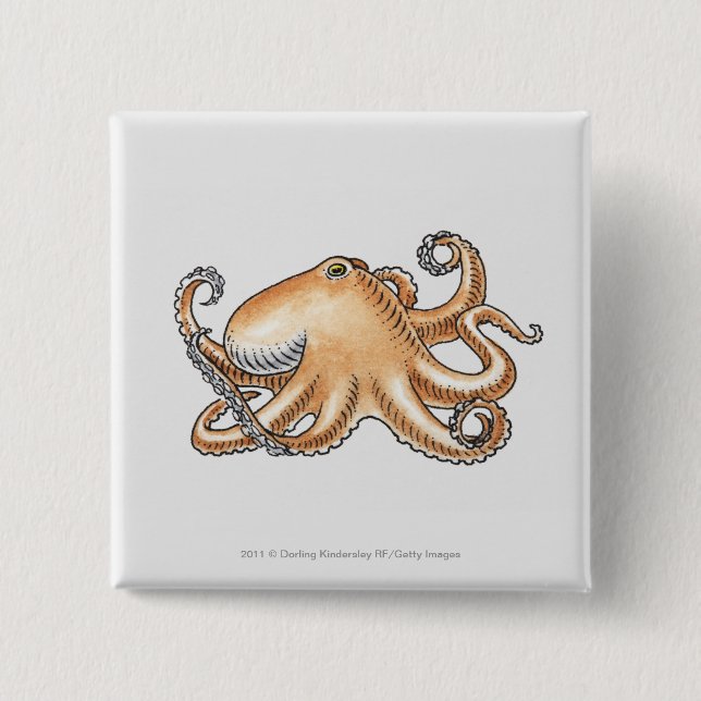 Illustration av en bläckfisk knapp (Framsida)