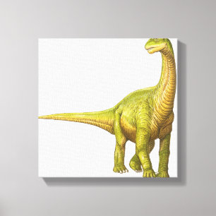 Illustration av en Camarasaurus Canvastryck