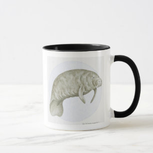 Illustration av en Manatee (Trichechus sp.) Mugg