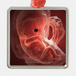 Illustration av ett framkallande embryo julgransprydnad metall