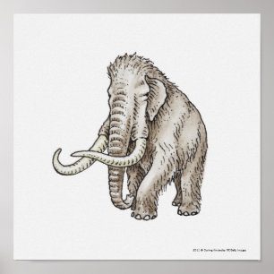 Illustration av ett kolossalt poster