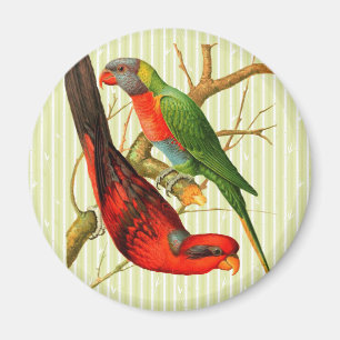 Illustration av färgstarka Vintagar Röda och Grönt Magnet