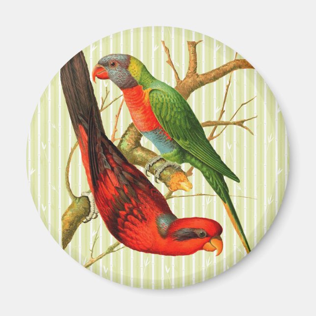 Illustration av färgstarka Vintagar Röda och Grönt Magnet (Framsidan)