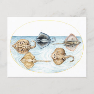 Illustration av fem Vintagar med staplar Vykort