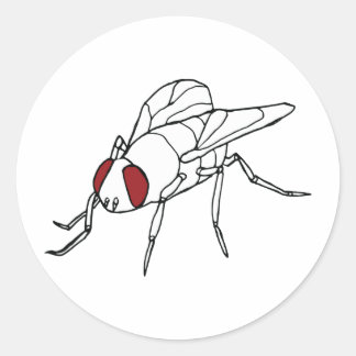 illustration av flygdjurets insekt runt klistermärke