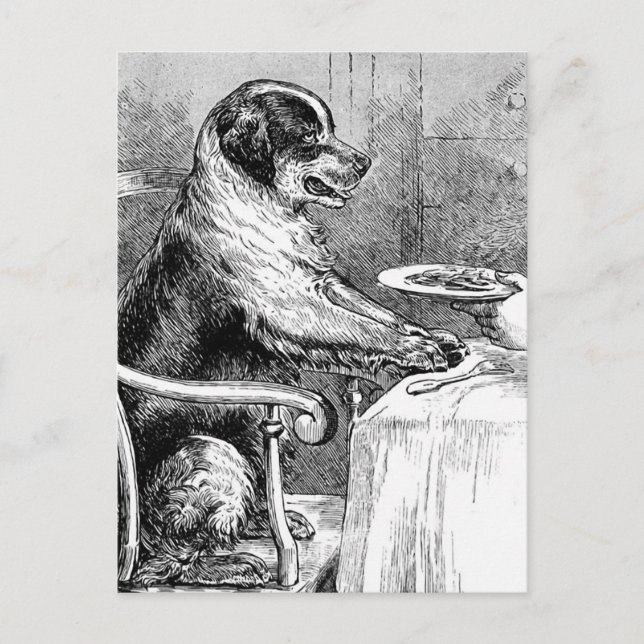 Illustration av gammal hund vid middagstid vykort (Framsida)