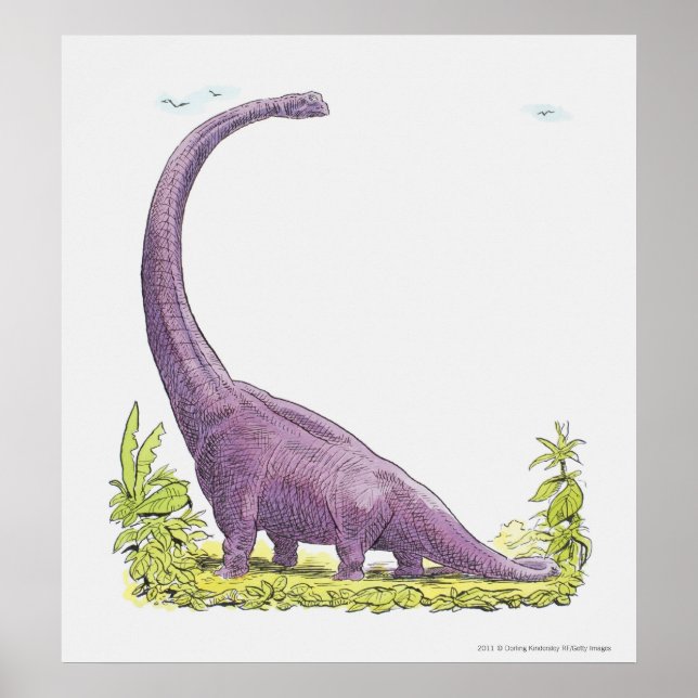 Illustration av Giraffatitan dinosaur Poster (Framsidan)