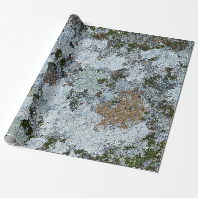 illustration av grått och grönt presentpapper (Utrullad)