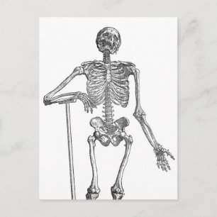 Illustration av grävande skelett vykort