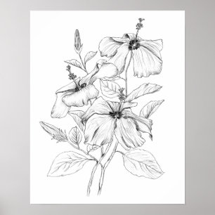 illustration av hibiscus-blomman, svart och vit bl poster