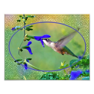 Illustration av Hummingbird Lunch Fototryck