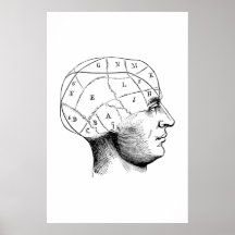 Illustration av huvudantomi Poster