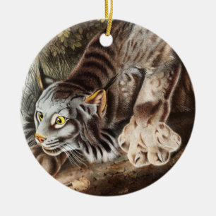Illustration av Kanada Lynx (Lynx Canadensis) Julgransprydnad Keramik