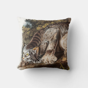 Illustration av Kanada Lynx (Lynx Canadensis) Kudde