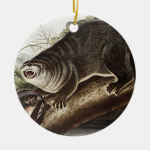 Illustration av Kanada Otter (Lutra Canadensis) Julgransprydnad Keramik