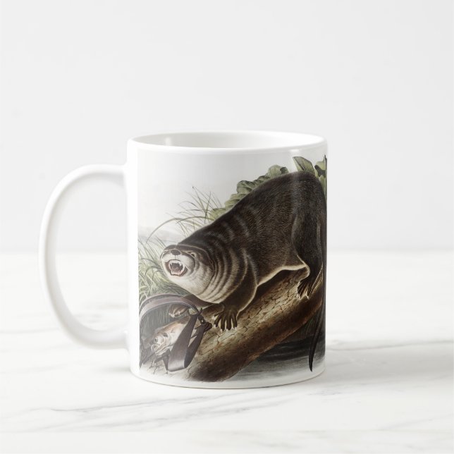 Illustration av Kanada Otter (Lutra Canadensis) Kaffemugg (Vänster)