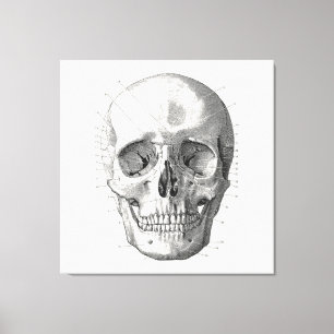 Illustration av klassiskt skulldiagram canvastryck