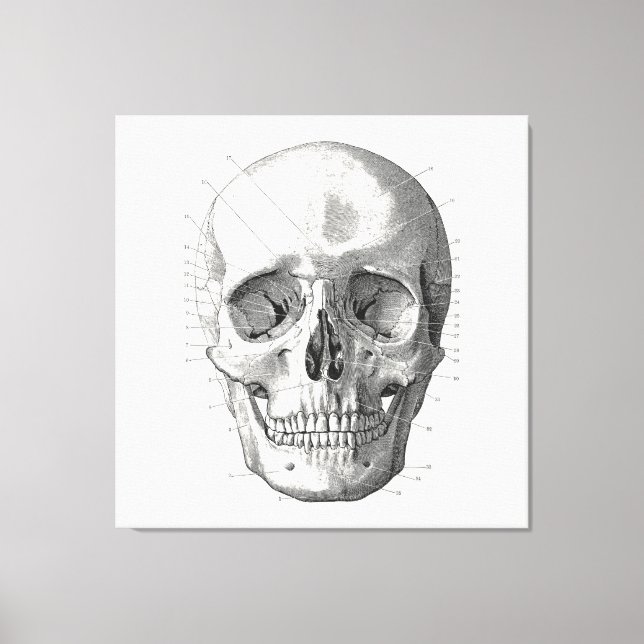 Illustration av klassiskt skulldiagram canvastryck (Framsida)