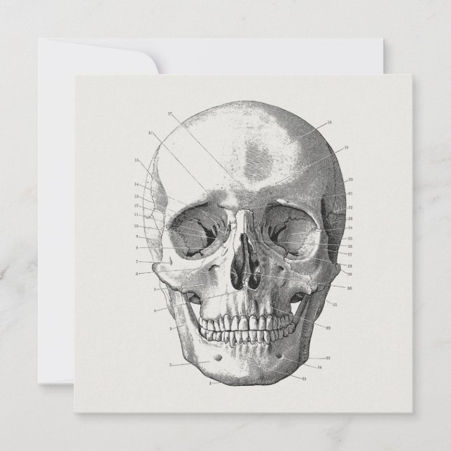 Illustration av klassiskt skulldiagram kort (Framsida)