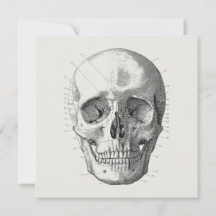 Illustration av klassiskt skulldiagram kort