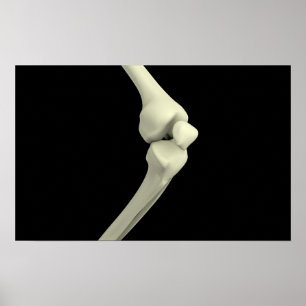Illustration av knälben, böjning poster