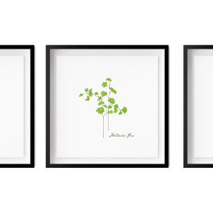 Illustration av Maidenhair Fern   Fern Series Poster