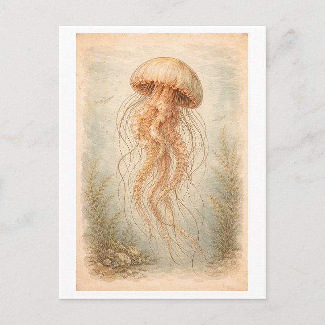 Illustration av maneter i vintage-stil vykort (Framsida)