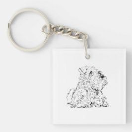Illustration av miniatyr schnauzer
