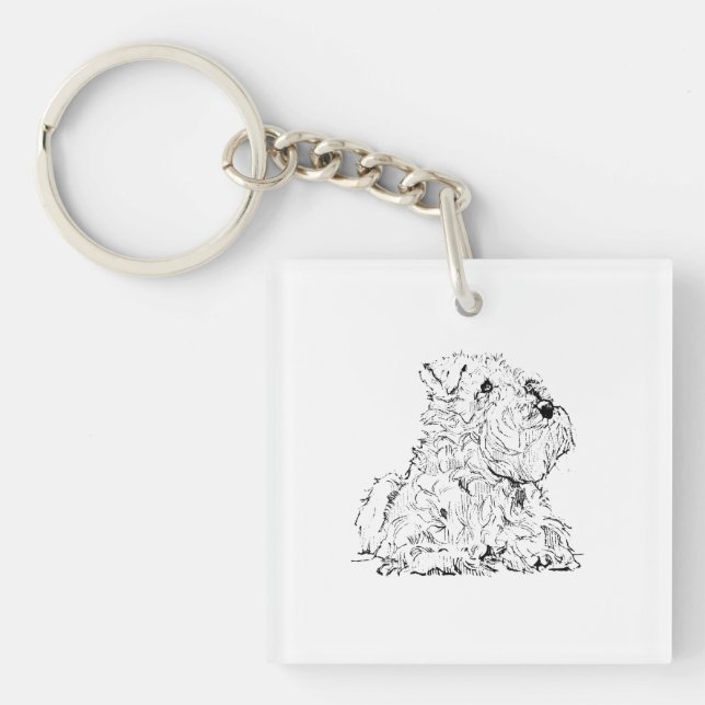 Illustration av miniatyr schnauzer (Framsidan)