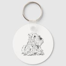 Illustration av miniatyr schnauzer