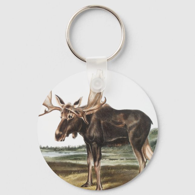 Illustration av moose Hjort (Servus alces) Nyckelring (Framsida)