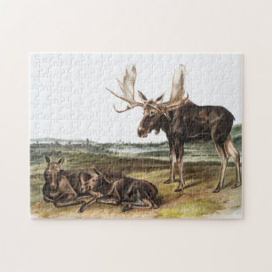 Illustration av moose Hjort (Servus alces) Pussel
