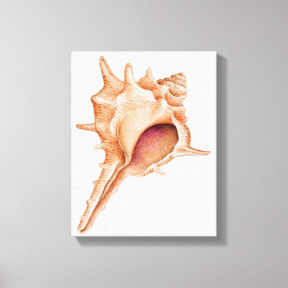 Illustration av Murex-snäckan Canvastryck