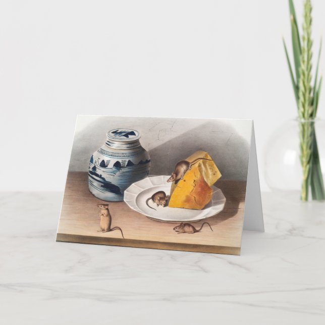 Illustration av mus (musculus) kort (Framsida)