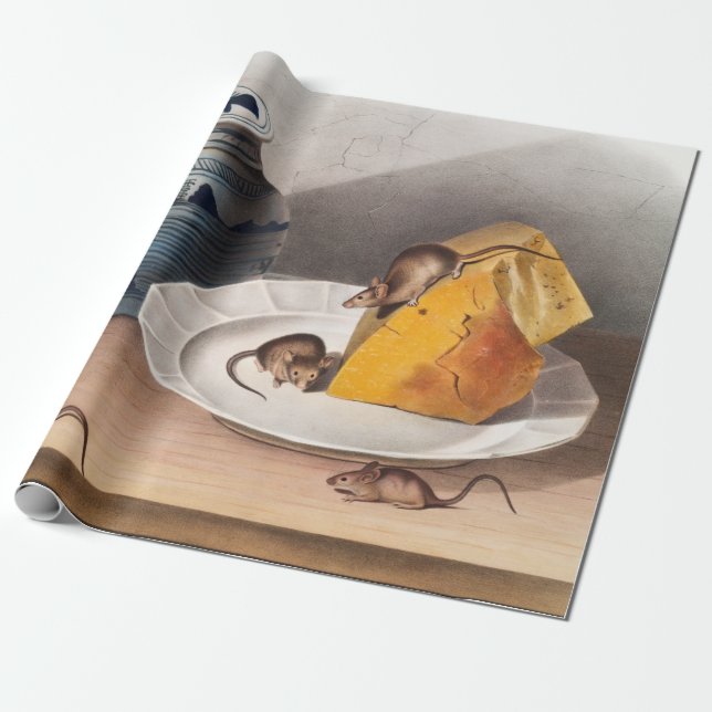 Illustration av mus (musculus) presentpapper (Utrullad)