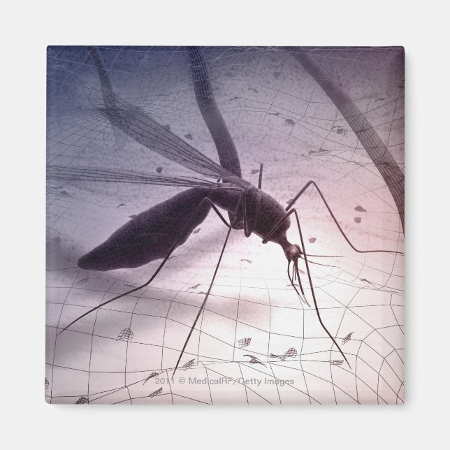 Illustration av myggbett magnet (Framsidan)
