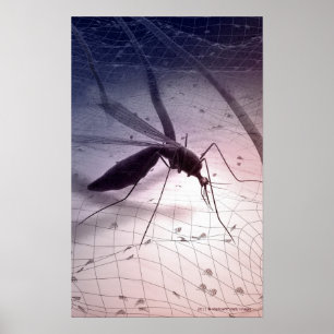 Illustration av myggbett poster