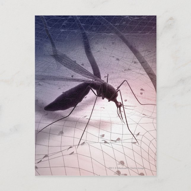 Illustration av myggbett vykort (Framsida)