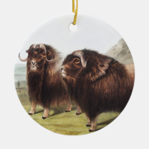Illustration av mysk (Ovibos moschatus) Julgransprydnad Keramik